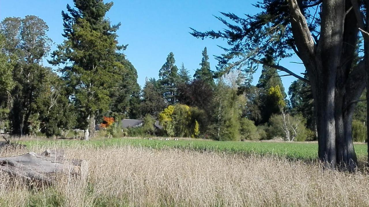 Holmestead Farm Methven Eksteriør billede